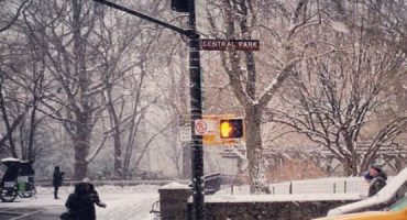 New York sotto la neve: le 20 foto più belle da Instagram