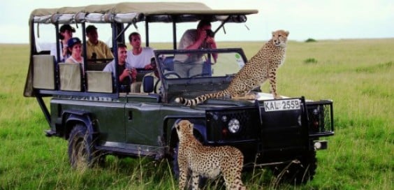 safari vacanza avventura